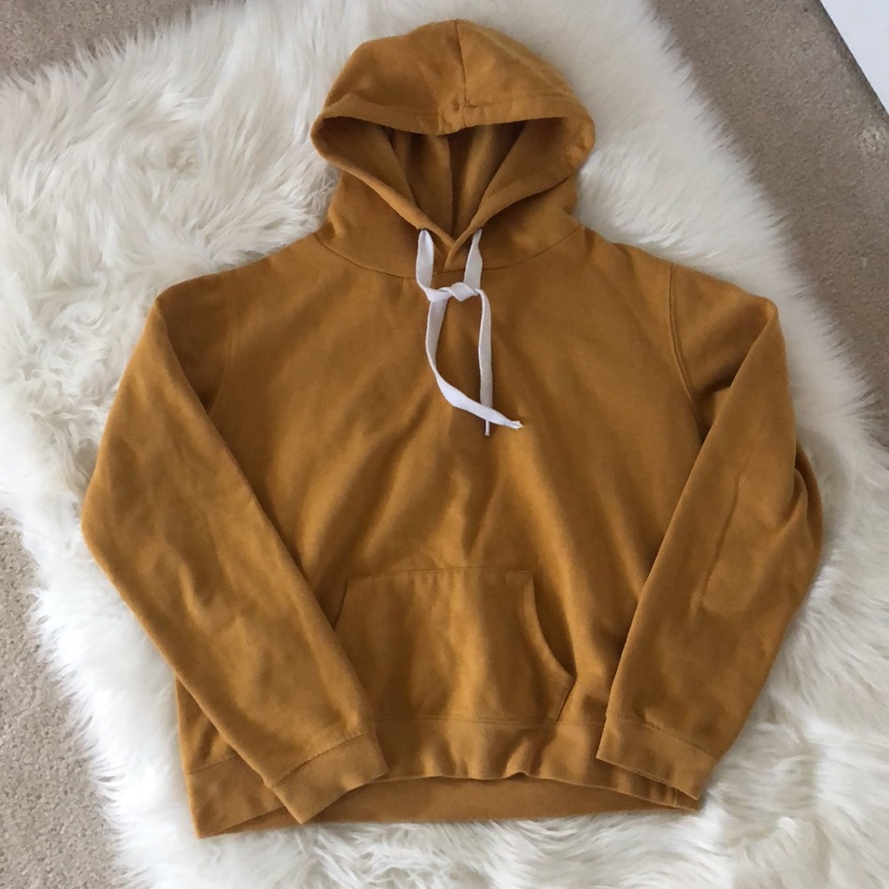 SWS Hoodie